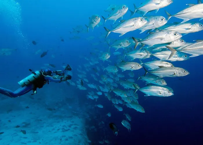 Jean Michel Cousteau Rst Fiji